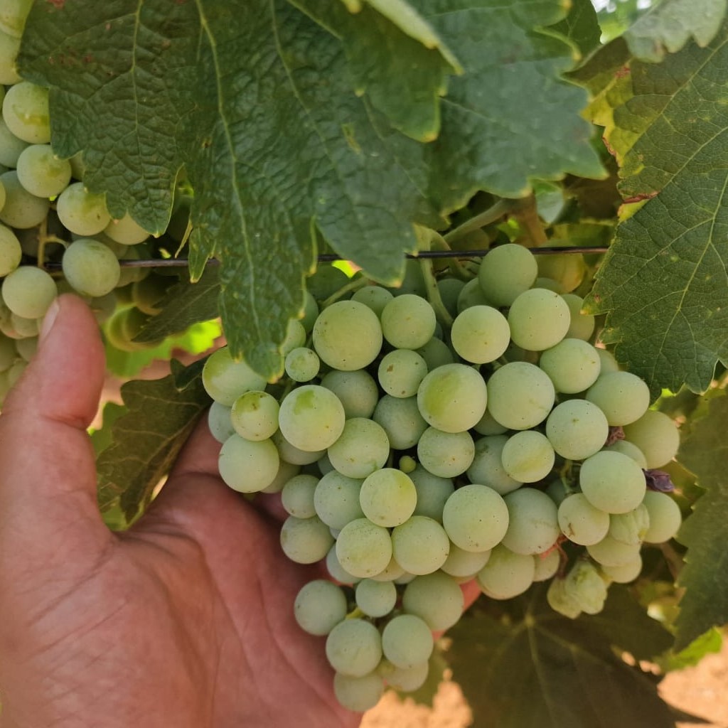 291c441f-a870-4843-a635-805f07c0121e